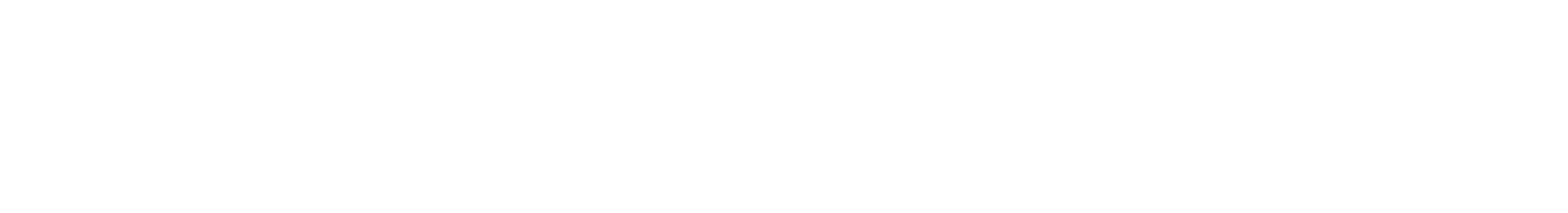Wattier Marketing white logo. Expert Digital Solutions for Sioux Falls Businesses.